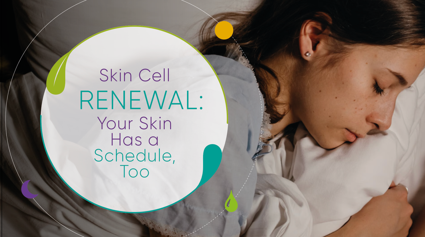 Skin Cell Renewal: Your Skin Has a Schedule, Too
